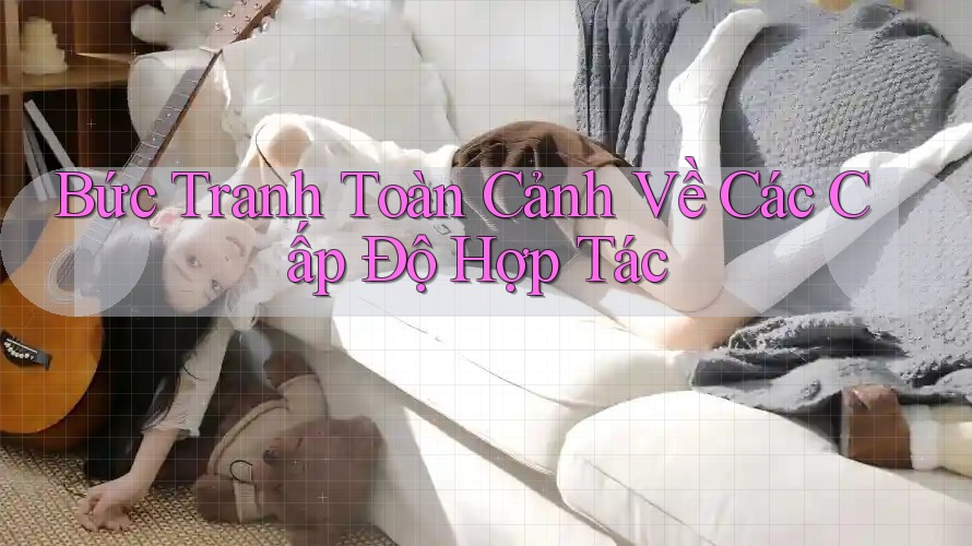 Bức Tranh Toàn Cảnh Về Các Cấp Độ Hợp Tác
