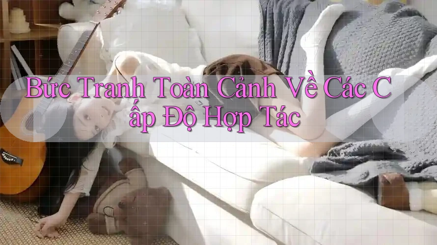 Bức Tranh Toàn Cảnh Về Các Cấp Độ Hợp Tác