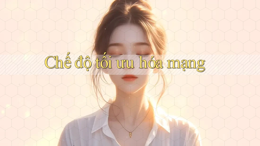 Chế độ tối ưu hóa mạng