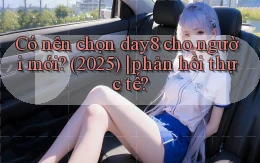 Có nên chọn day8 cho người mới (2025) phản hồi thực tế