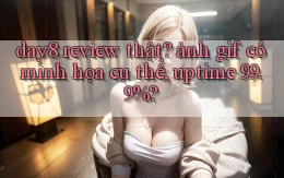 day8 review thật ảnh gif có minh họa cụ thể, uptime 99.9%