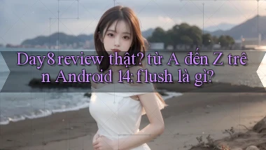 Day8 review thật từ A đến Z trên Android 14 flush là gì