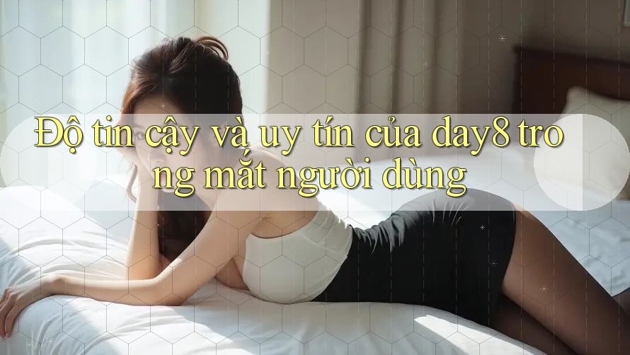 Độ tin cậy và uy tín của day8 trong mắt người dùng