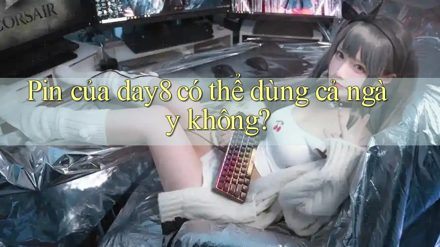 Pin của day8 có thể dùng cả ngày không?